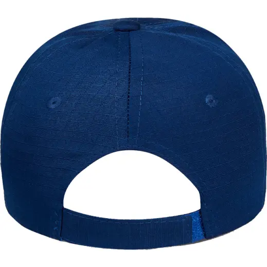FWRD Cube Cap Royal Back